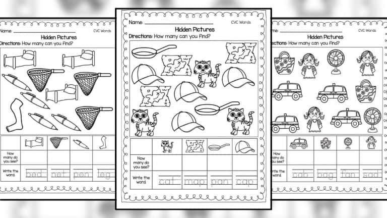 Hidden Pictures CVC Worksheet